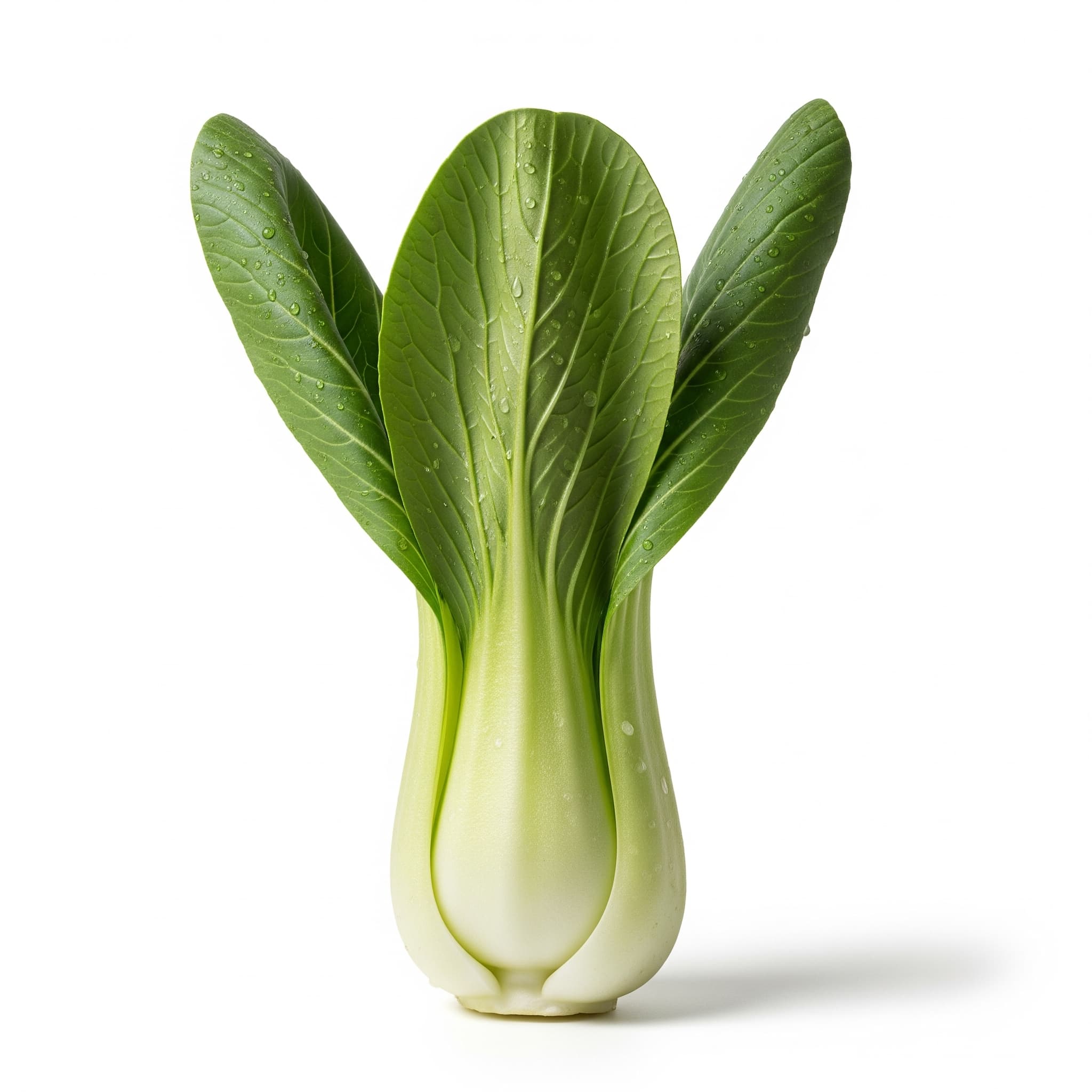 Bok Choy