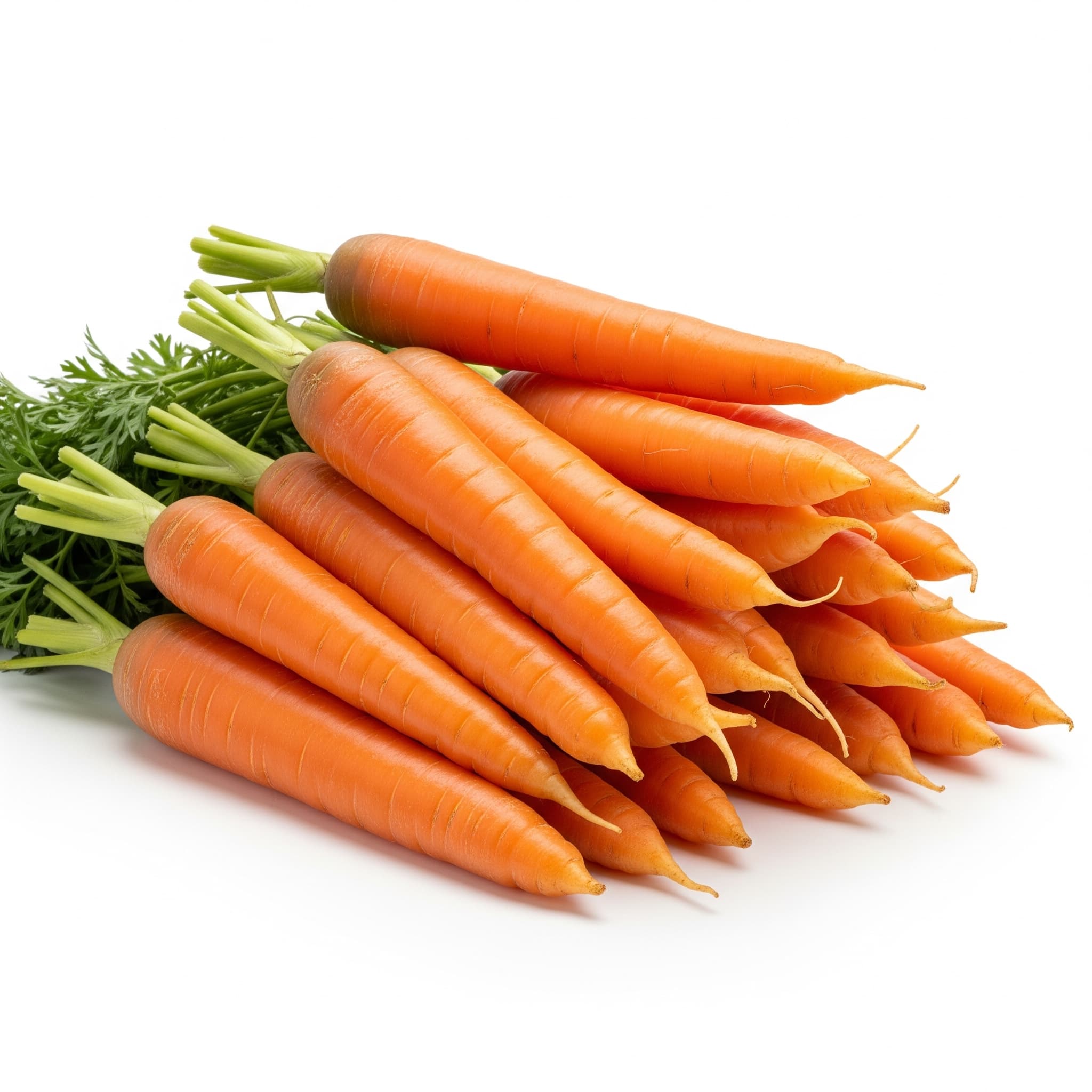Bolero Carrot