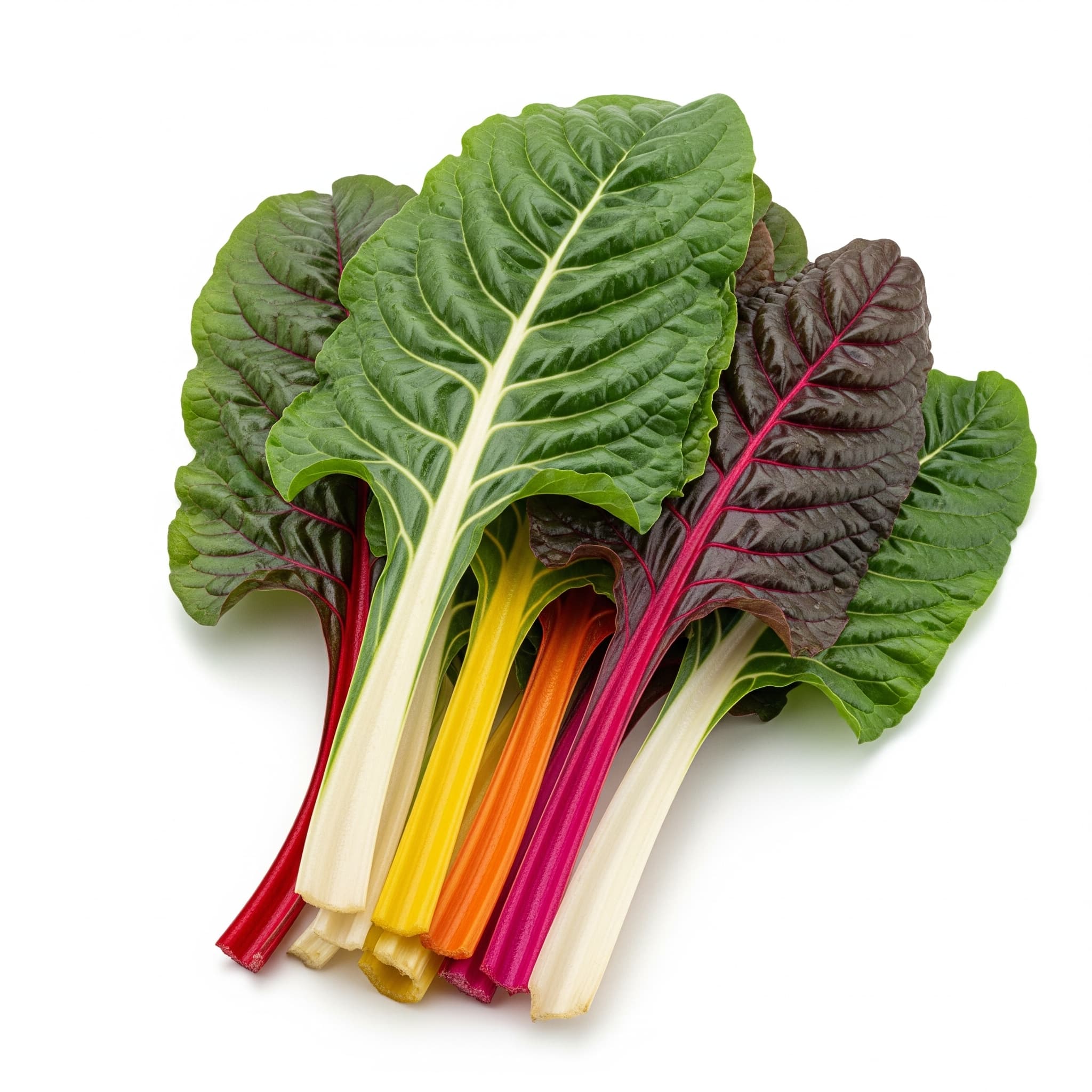 Swiss Chard