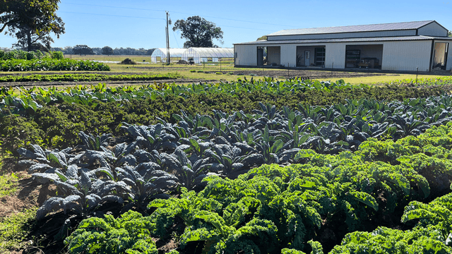 Jason at Emory Market Gardens
