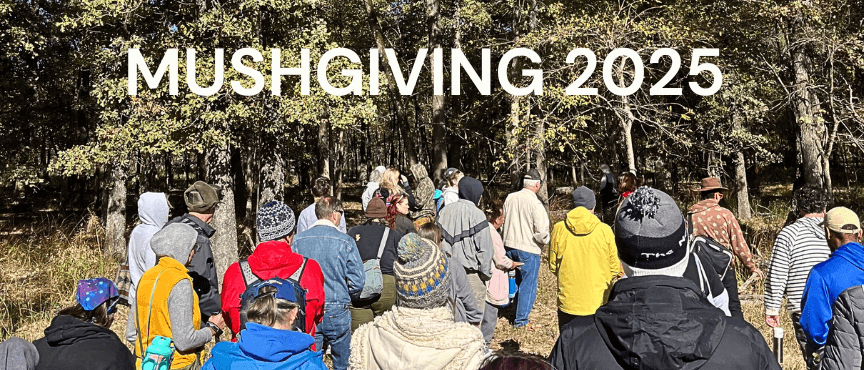 Mushgiving 2025: A Day of Foraging, Food, and Fungal Community in East Texas
