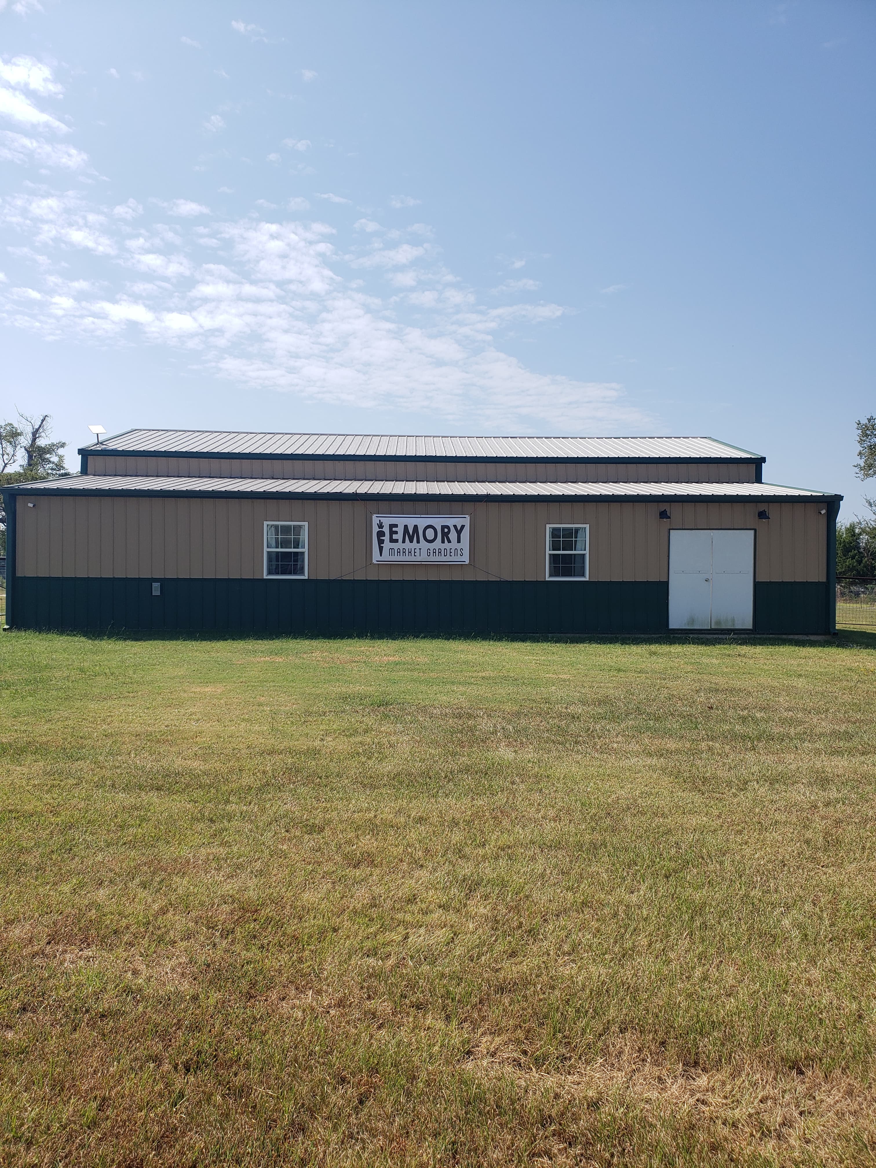 Welcome to Emory Market Gardens: Your Guide to the Wonderful World of Mushrooms!